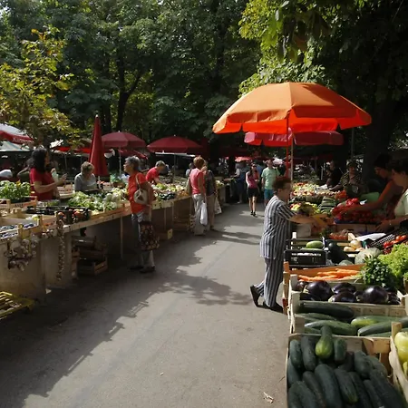 Aurelia * Пула